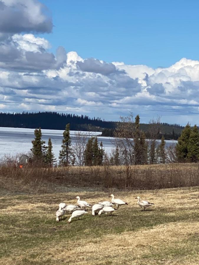 Tolsona Lake Lodge Glennallen Zewnętrze zdjęcie